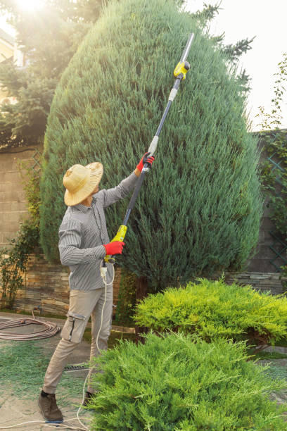 Best Commercial Tree Services  in Nokomis, IL